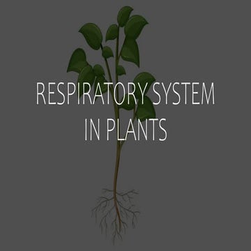 RESPIRATORY SYSTEM OF THE PLANTS........