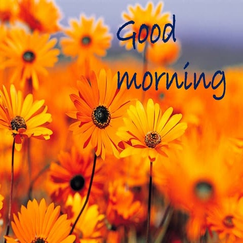 bio                                         .pptx