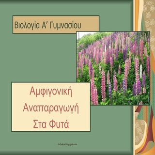 Bio Amfigonia Sta Fyta Blog