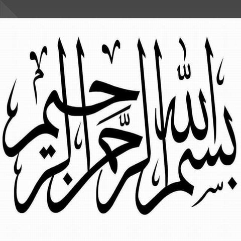 Nucleic Acids (DNA & RNA)