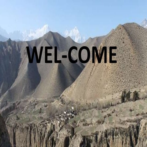 Bio engineering methods and their control for soil erosion