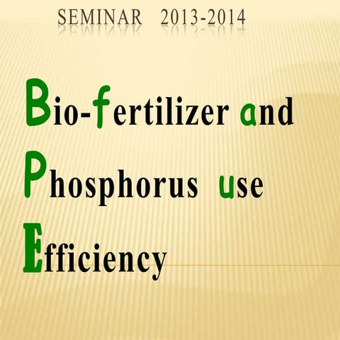 Bio fertilizer and phosphorus use efficiency , by- aditya kumar singh tomar