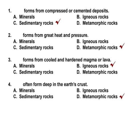 Bio-geochemical Cycles