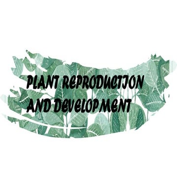 Bio-plant-reproduction-developmeny g -12