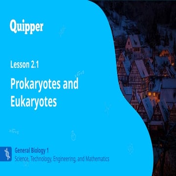 Lesson 3 Prokaryotic vs Eukaryotic Cell | PDF