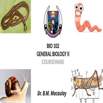 BIO 102 Coursework - Dr BM Macaulay - June 2025.pptx