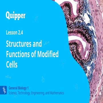 Lesson4 cell modifications | PPTX