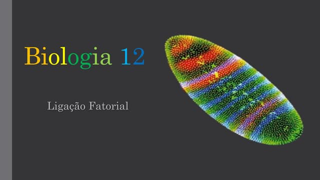 Bio 12   genética - ligação factorial