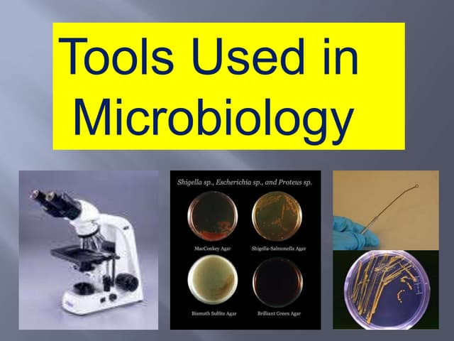 Bio 127 lec 2 Microbiology: Tools Used in   Microbiology