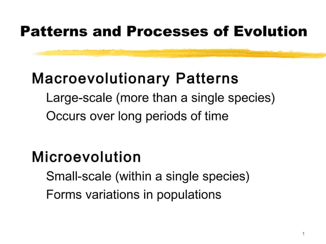 Bio 163 patterns of evolution and genes lmk 2013