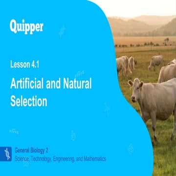 BIO2-11_12-Q3-0401-PF-FD.pptx