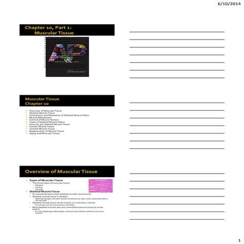 Bio 201 chapter 10 lecture