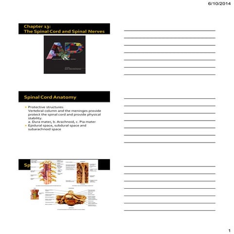 Bio 201 chapter 13 lecture