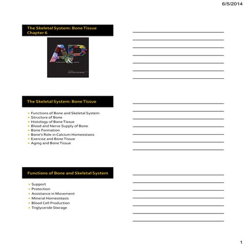 Bio 201 chapter 6 lecture