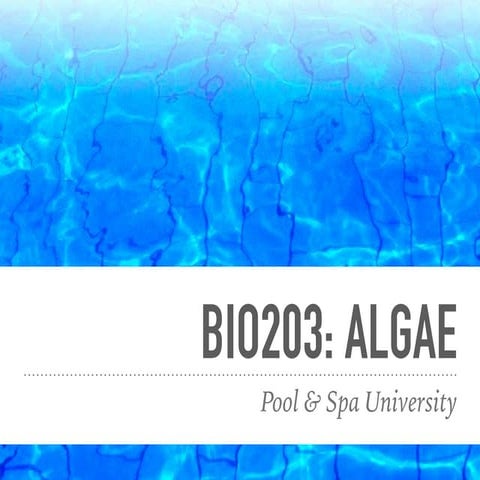 BIO203: Algae