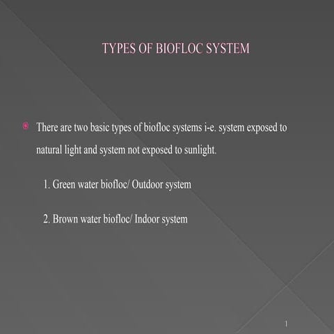 Comprehensive Overview of Biofloc Systems in Aquaculture: Types, Water ...