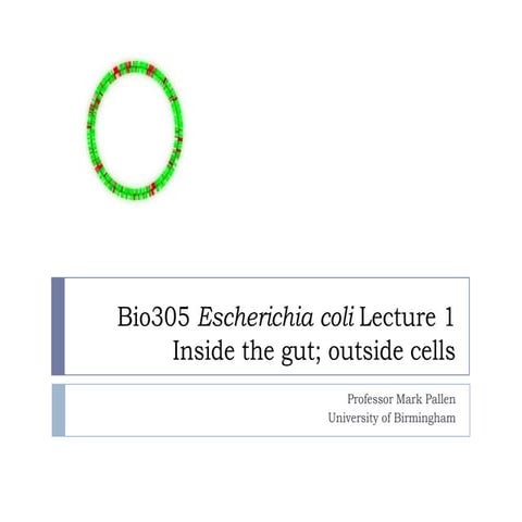 Bio305 2012 Lecture 1 on E. coli