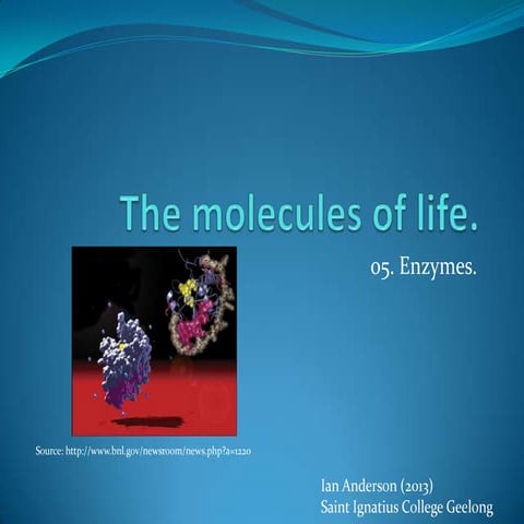 Enzymes as organic catalysts