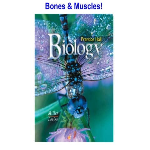 Chapter 36 lecture- Bones & Muscles