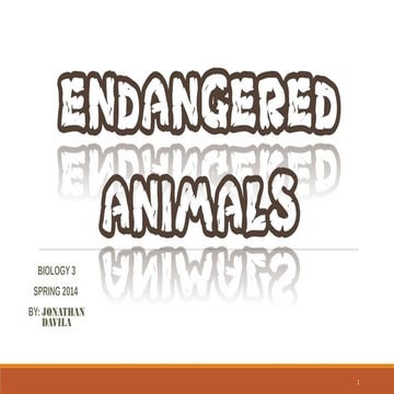 Endangered Animals