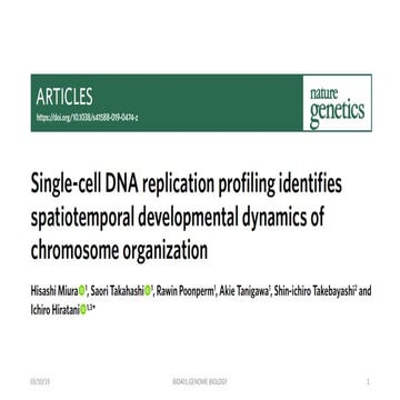 spatio-temporal developmental dynamics of chromosome organization