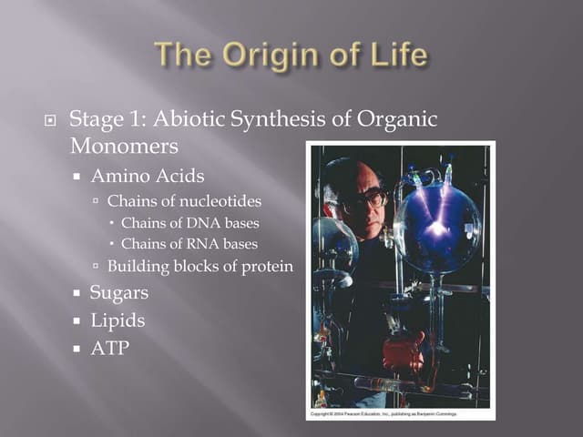 Bio 40s evolution