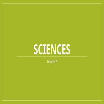 Comprehensive Data Science for Business Course: Rules, Tools, and ...