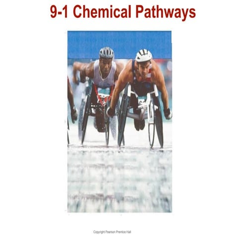 Chapter Nine- Cellular Respiration & Fermentation