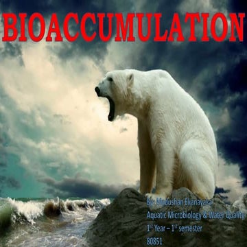 Bioaccumulation