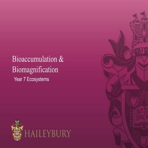 Bioaccumulation - Ecosystems