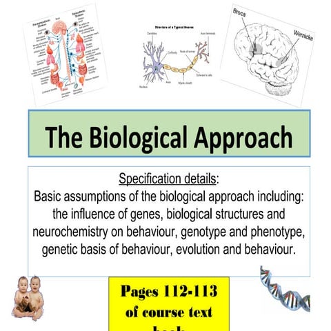 Biological approach 2015