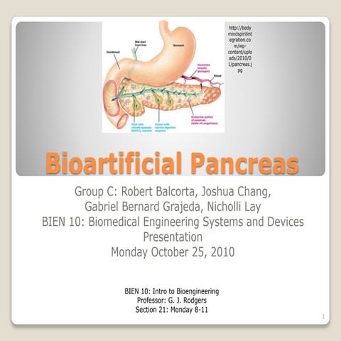 Bioartificial pancreas