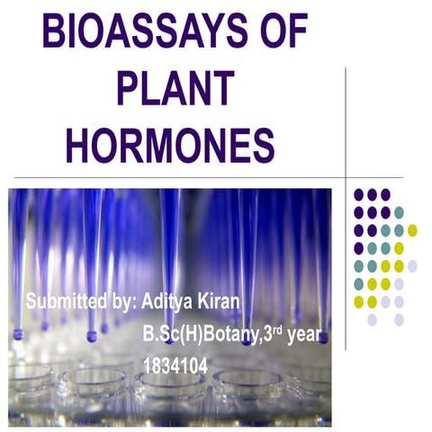 BIOASSAYS OF PLANT HORMONES all plants.pptx