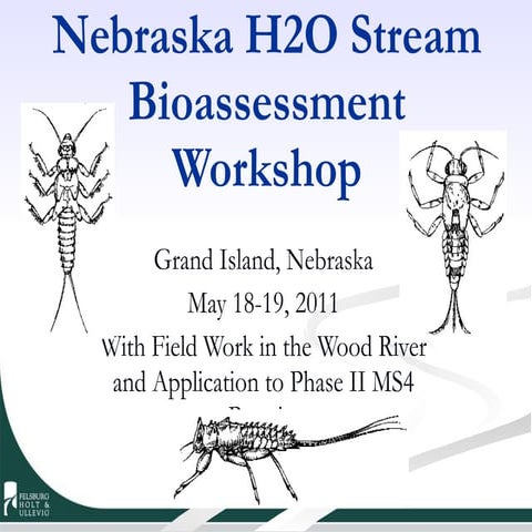 Bioassessment Approach to MS4 Evaluation and Assessment