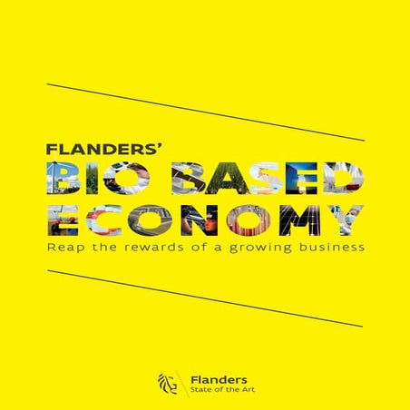 Bio Based Economy in Flanders: reap the rewards of a growing business