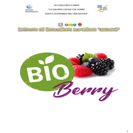 Bio Berry