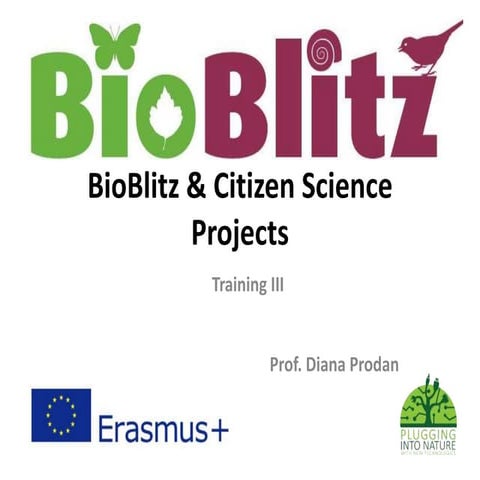 Bio blitz & citizen science projects