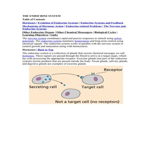 CAPE Biology unit 2 notes on the endocrine system