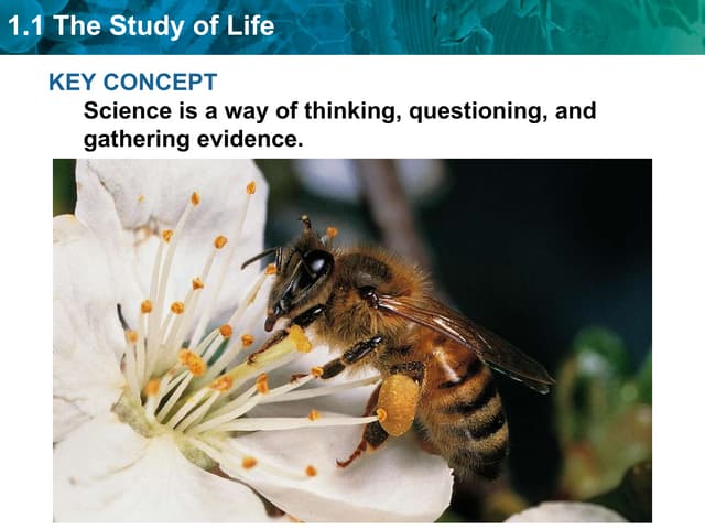 Bio chap1 (1)