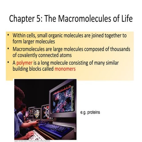 Bio Chapter 5: Macromolecules