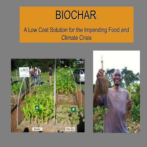 Biochar: A Low Cost Solution to the Impending Global Food Crisis