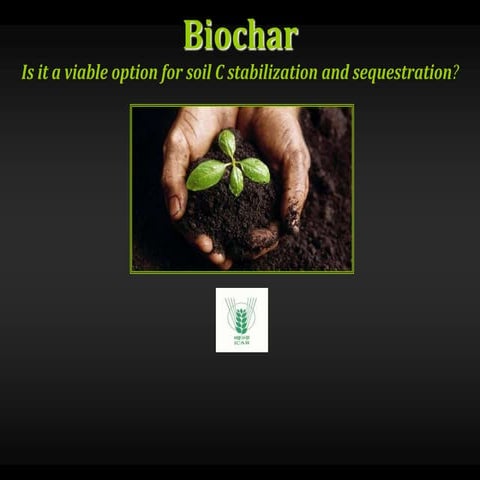 Biochar, Biomass, Soil and Agriculture - Information for public adoption
