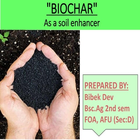 Biochar | PPTX
