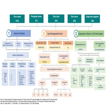 Biochar preparation+flowchart.pptx