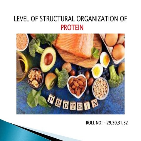 Level of structural organization of proteins in description