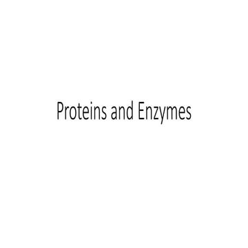 Proteins and Enzymes: Definition and characteristics
