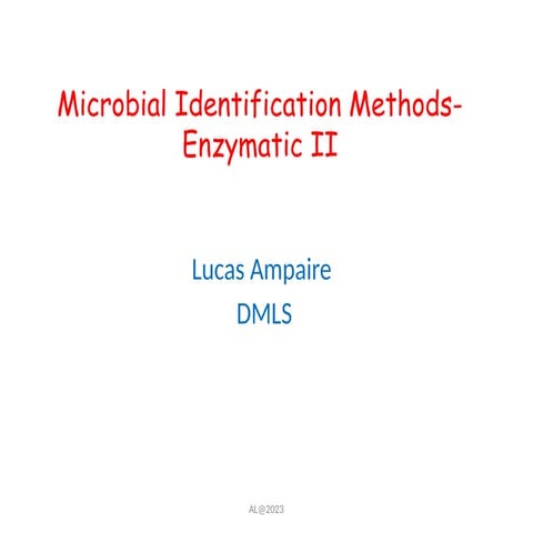 Api 20 e | PDF