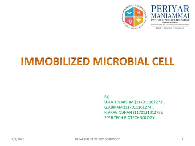 Immobilized Microbial cell
