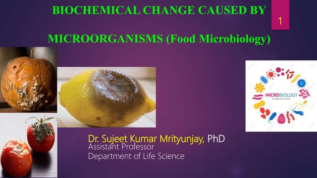 Biochemical change caused by microorganisms