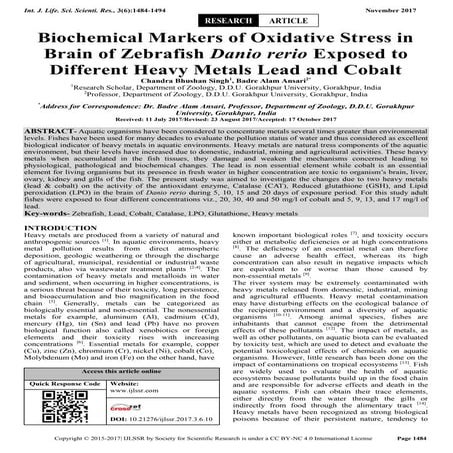 Biochemical Markers of Oxidative Stress in Brain of Zebrafish Danio rerio Exp...